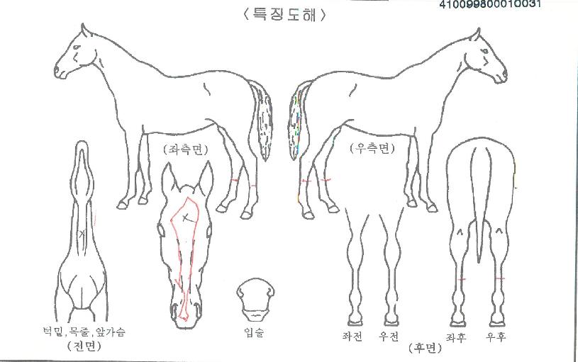 �����¡���� ����,���,�޸�,�λ�,�ٸ��� Ư¡����