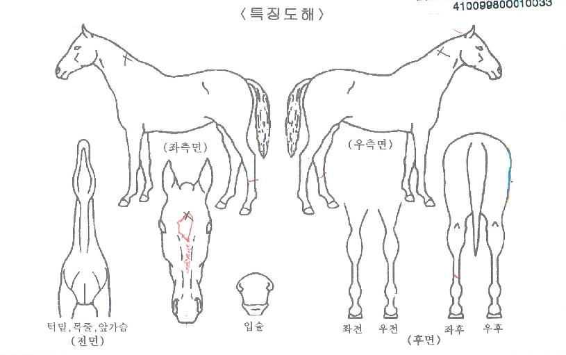ÄÉÀÌ¿£ÆÄ¿öÀÇ Ãø¸é,¿ì¸é,µÞ¸é,µÎ»ó,´Ù¸®ÀÇ Æ¯Â¡µµÇØ