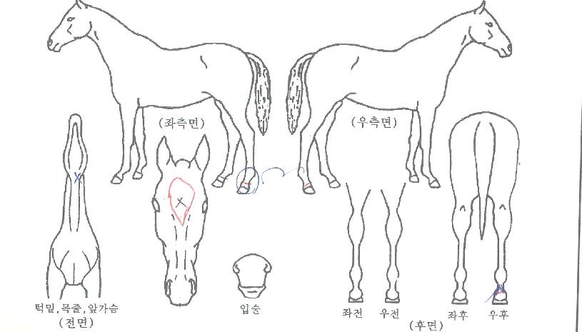 �Ϸ���� ����,���,�޸�,�λ�,�ٸ��� Ư¡����