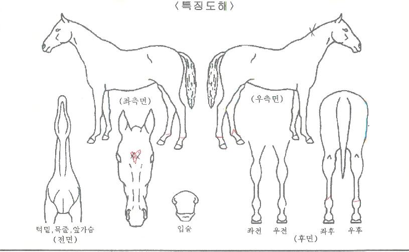 ����Ʈ������ ����,���,�޸�,�λ�,�ٸ��� Ư¡����