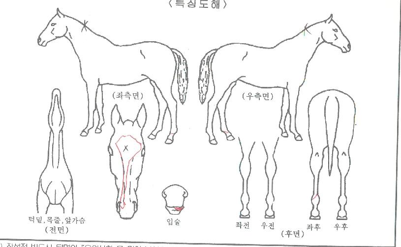 �Ѽ��������� ����,���,�޸�,�λ�,�ٸ��� Ư¡����