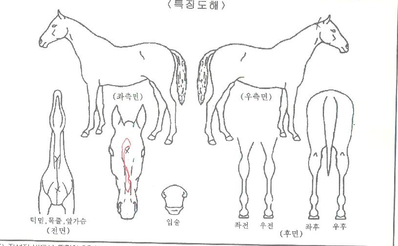 �ʿ������� ����,���,�޸�,�λ�,�ٸ��� Ư¡����