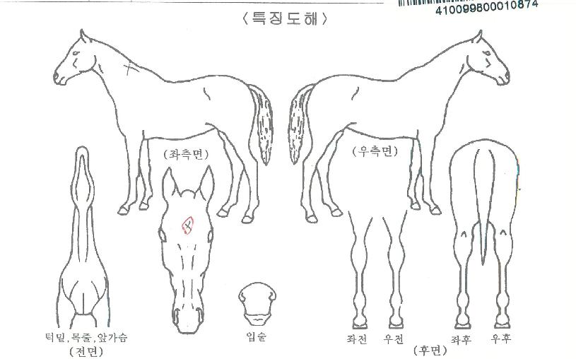 ���������� ����,���,�޸�,�λ�,�ٸ��� Ư¡����