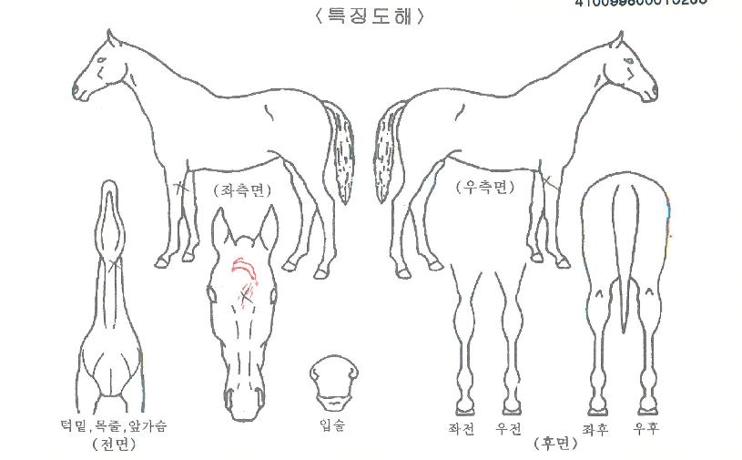 ��º���Ʈ���� ����,���,�޸�,�λ�,�ٸ��� Ư¡����