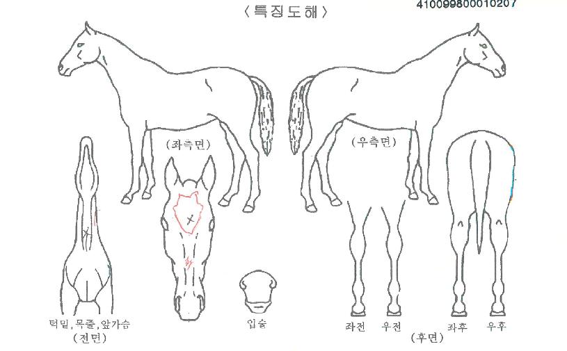 ����¸��� ����,���,�޸�,�λ�,�ٸ��� Ư¡����