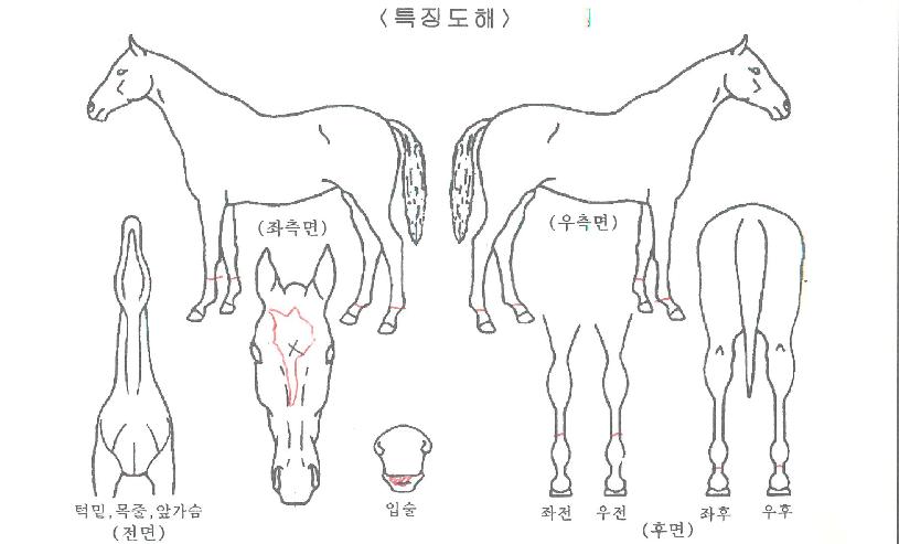 �������� ����,���,�޸�,�λ�,�ٸ��� Ư¡����