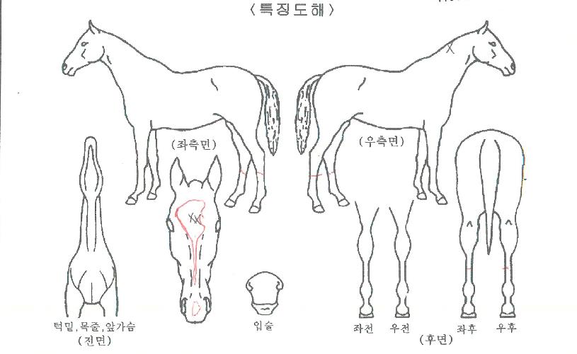 ���̽������� ����,���,�޸�,�λ�,�ٸ��� Ư¡����