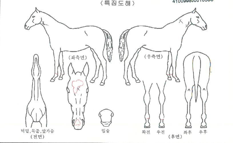 ������ũ�� ����,���,�޸�,�λ�,�ٸ��� Ư¡����