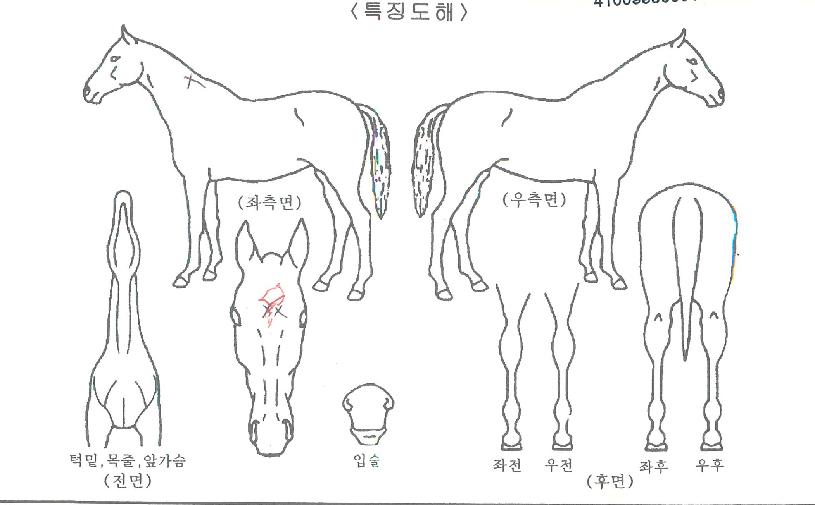 ��ٵ������� ����,���,�޸�,�λ�,�ٸ��� Ư¡����