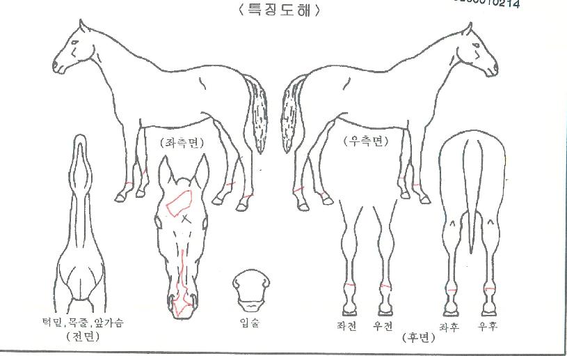 ����Ʈ������ ����,���,�޸�,�λ�,�ٸ��� Ư¡����