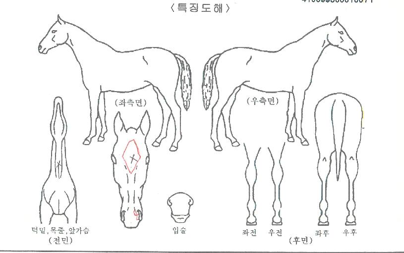 �Ŀ�Ǯ�������� ����,���,�޸�,�λ�,�ٸ��� Ư¡����