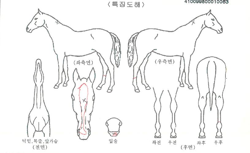 ����Ǯ������ ����,���,�޸�,�λ�,�ٸ��� Ư¡����