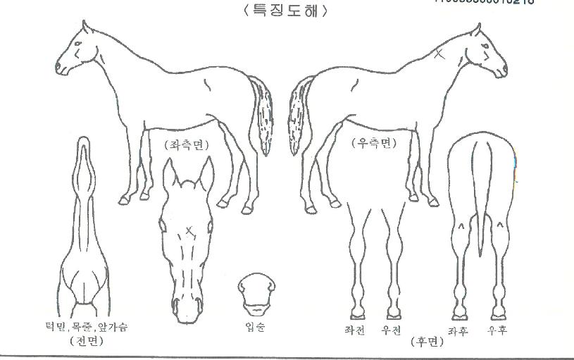 �׽�Ÿ���� ����,���,�޸�,�λ�,�ٸ��� Ư¡����