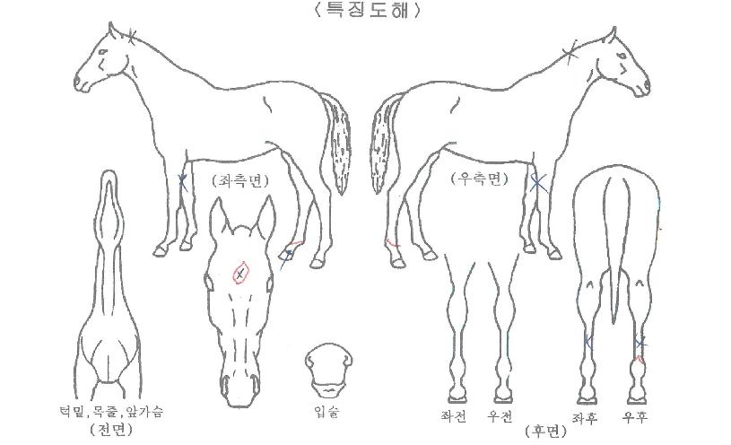 ����¡���丮�� ����,���,�޸�,�λ�,�ٸ��� Ư¡����