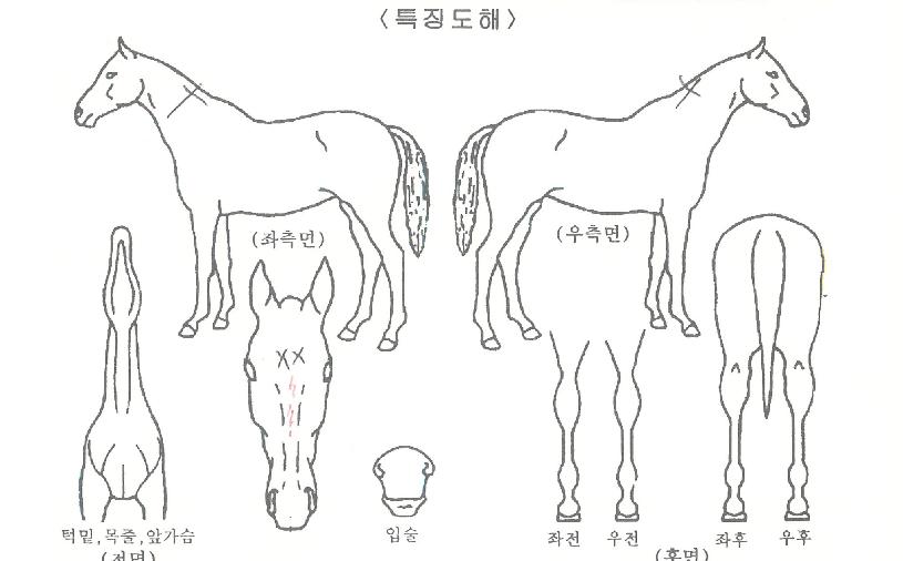ġī���� ����,���,�޸�,�λ�,�ٸ��� Ư¡����