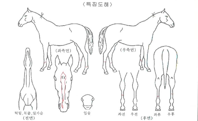 �������� ����,���,�޸�,�λ�,�ٸ��� Ư¡����