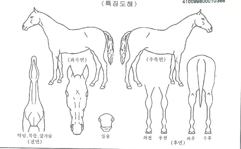 Ʈ���̾���Ĺ�� ����,���,�޸�,�λ�,�ٸ��� Ư¡����