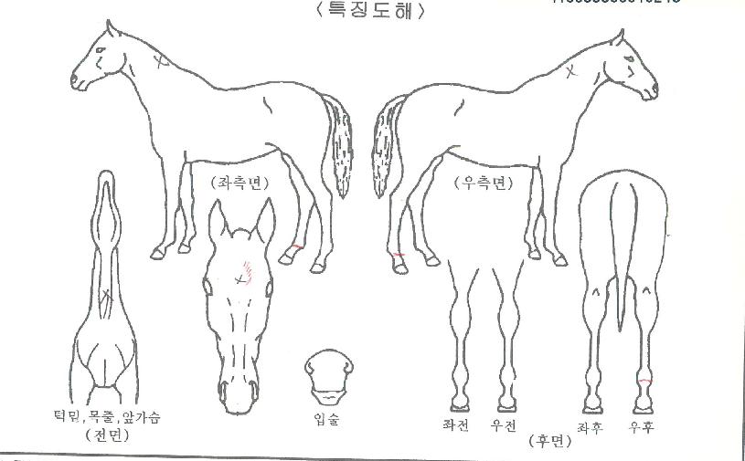 ���ǵ������ ����,���,�޸�,�λ�,�ٸ��� Ư¡����