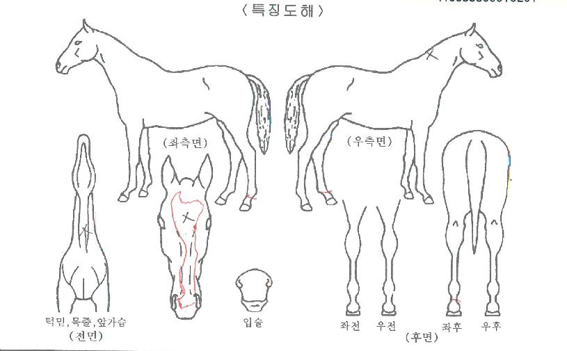 �ܼ����� ����,���,�޸�,�λ�,�ٸ��� Ư¡����