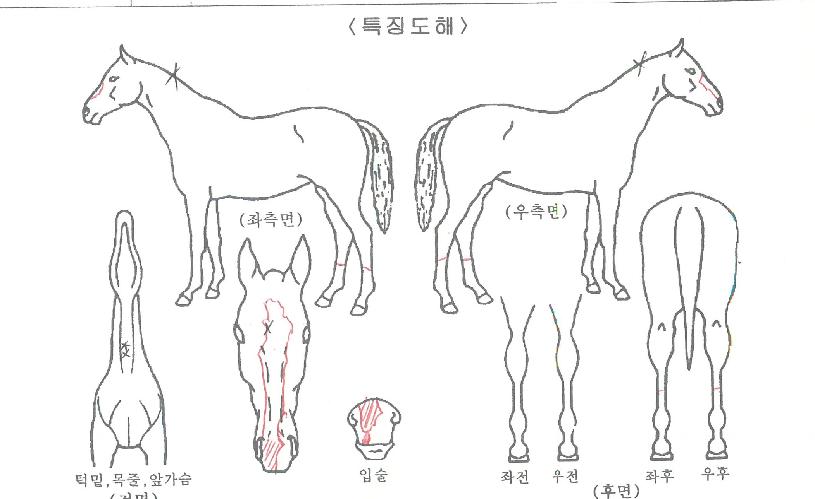 Ż�������� ����,���,�޸�,�λ�,�ٸ��� Ư¡����