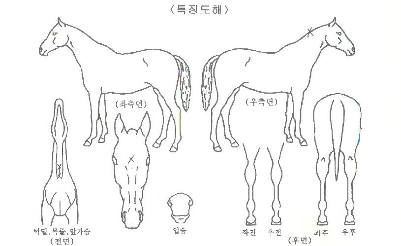 ��������� ����,���,�޸�,�λ�,�ٸ��� Ư¡����