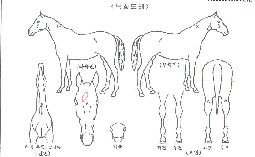 ����Ⱦ������ ����,���,�޸�,�λ�,�ٸ��� Ư¡����