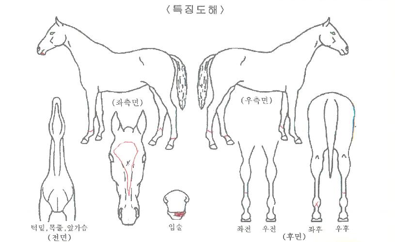 ���ֽ����� ����,���,�޸�,�λ�,�ٸ��� Ư¡����