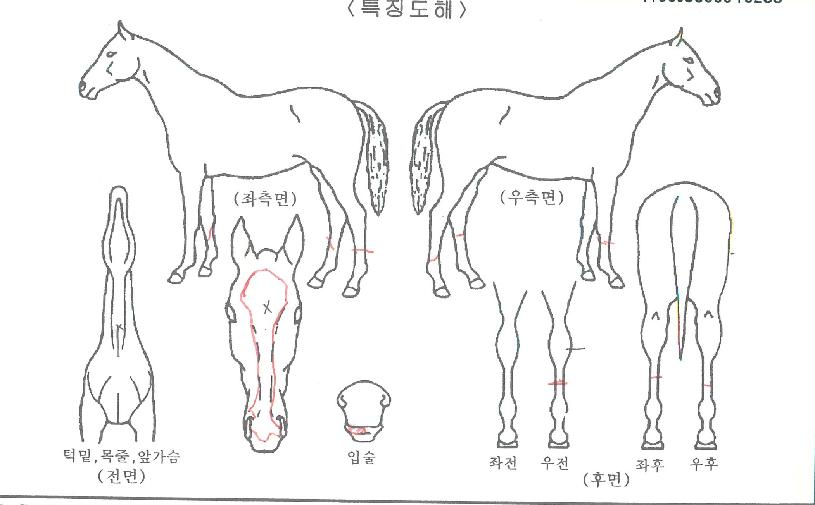 ����Ǯ������ ����,���,�޸�,�λ�,�ٸ��� Ư¡����