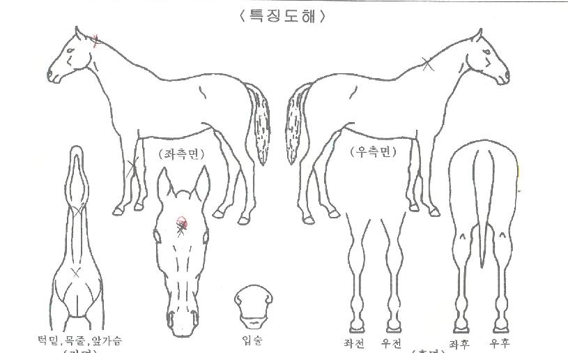 ���̸ս����� ����,���,�޸�,�λ�,�ٸ��� Ư¡����