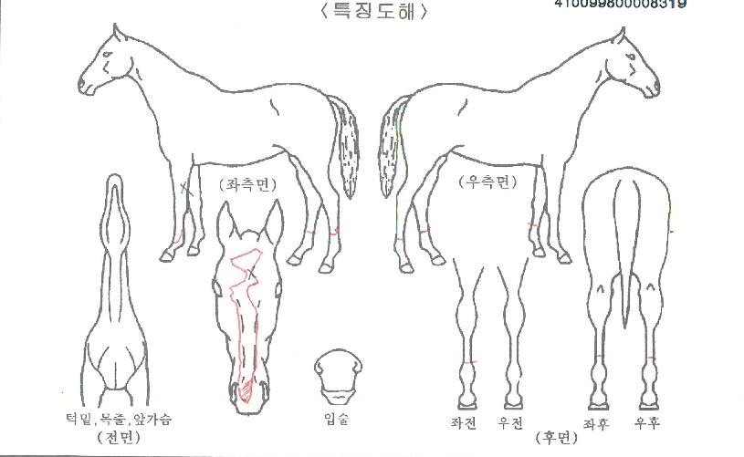 �������� ����,���,�޸�,�λ�,�ٸ��� Ư¡����