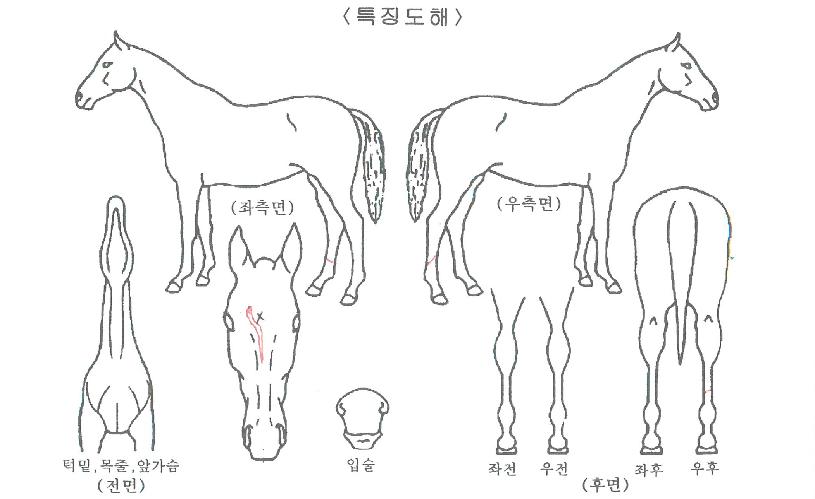 ���������� ����,���,�޸�,�λ�,�ٸ��� Ư¡����