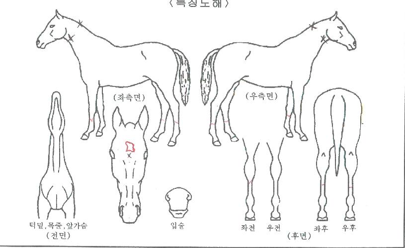 �������� ����,���,�޸�,�λ�,�ٸ��� Ư¡����