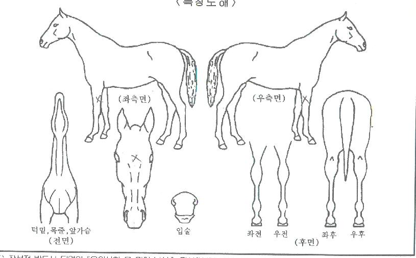 �¼����� ����,���,�޸�,�λ�,�ٸ��� Ư¡����