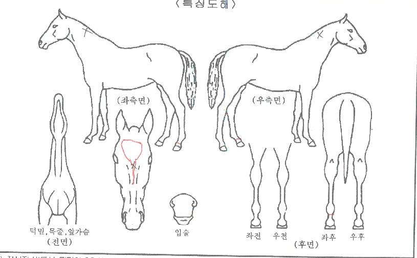 ÆÄ¶ó´ÙÀ̽ºÄýÀÇ Ãø¸é,¿ì¸é,µÞ¸é,µÎ»ó,´Ù¸®ÀÇ Æ¯Â¡µµÇØ