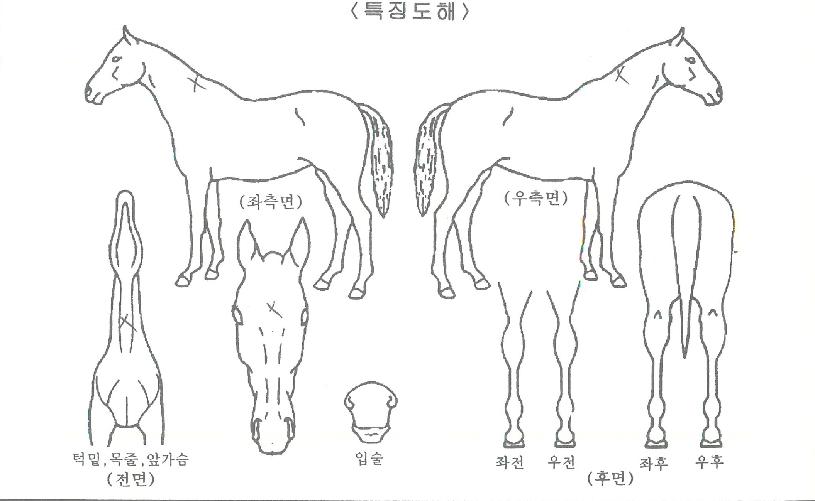 �����̽������ ����,���,�޸�,�λ�,�ٸ��� Ư¡����