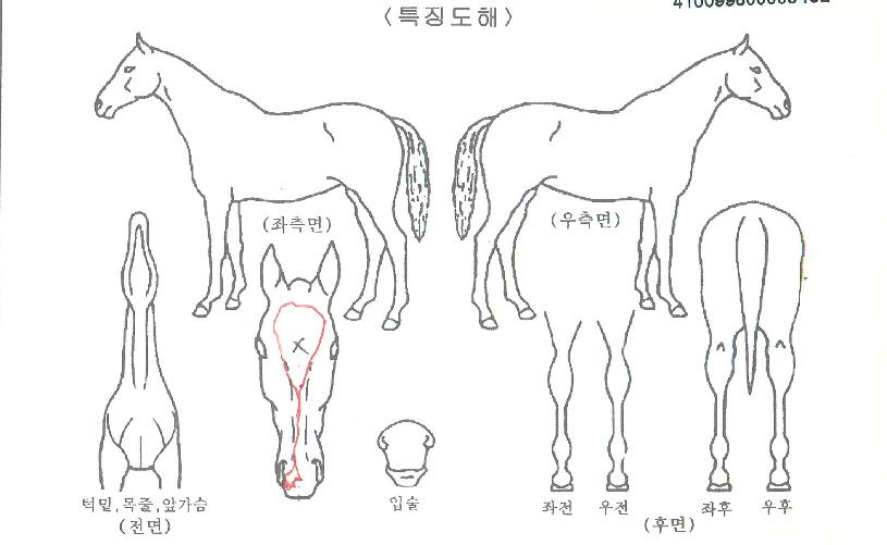 û��������� ����,���,�޸�,�λ�,�ٸ��� Ư¡����