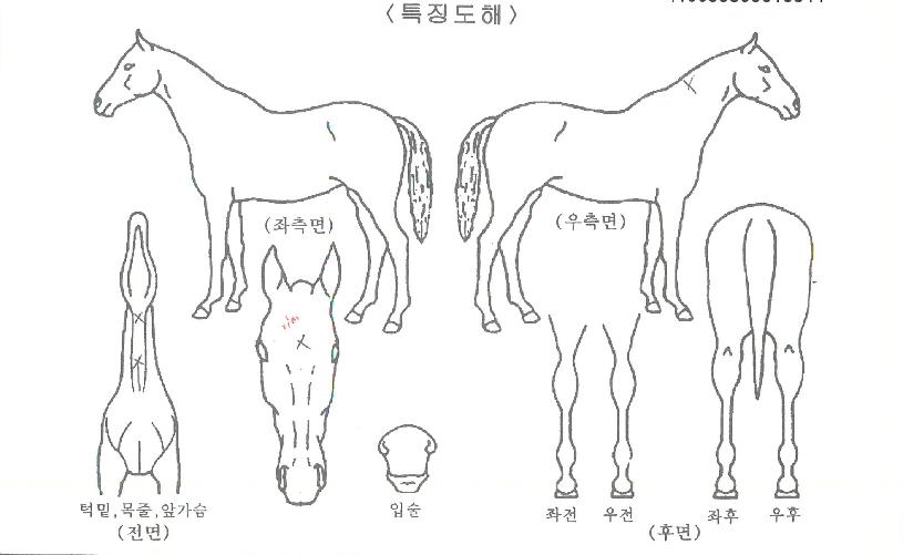 Ŀ���������� ����,���,�޸�,�λ�,�ٸ��� Ư¡����