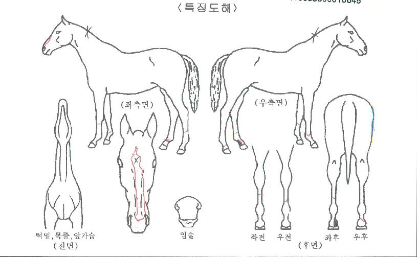 �������� ����,���,�޸�,�λ�,�ٸ��� Ư¡����