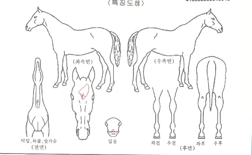 ��ť��õ�� ����,���,�޸�,�λ�,�ٸ��� Ư¡����