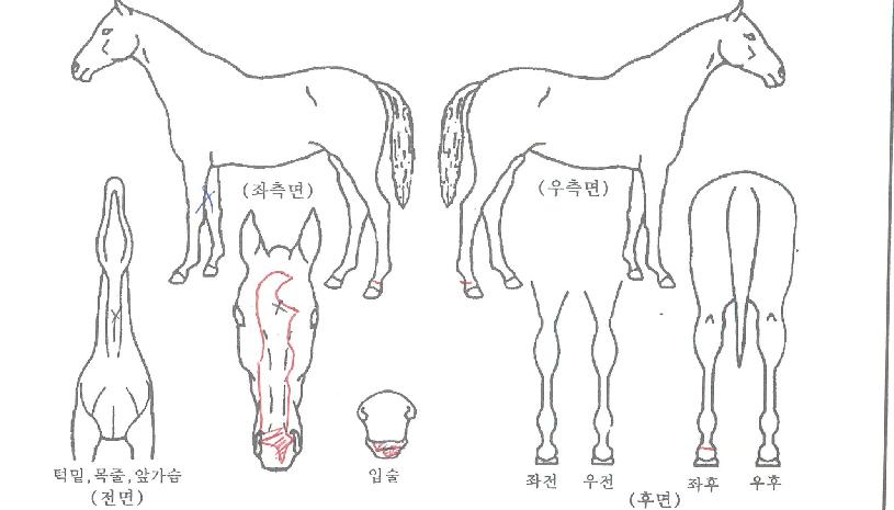 ����ũ����� ����,���,�޸�,�λ�,�ٸ��� Ư¡����