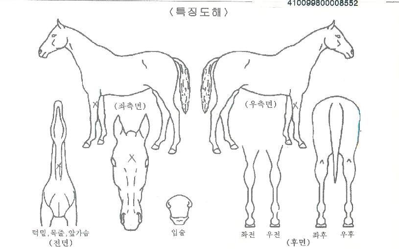 ÆäÀÌÀ±ÀÇ Ãø¸é,¿ì¸é,µÞ¸é,µÎ»ó,´Ù¸®ÀÇ Æ¯Â¡µµÇØ