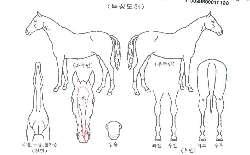 ���ǵ������ ����,���,�޸�,�λ�,�ٸ��� Ư¡����