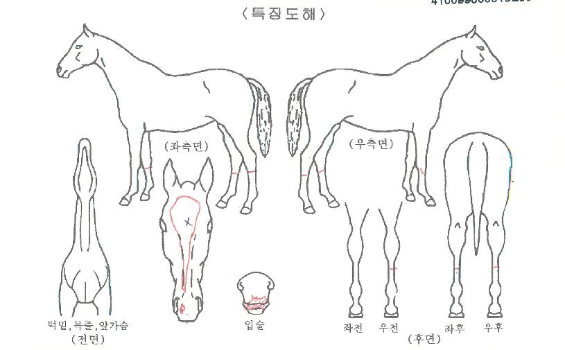 Ŭ���������� ����,���,�޸�,�λ�,�ٸ��� Ư¡����