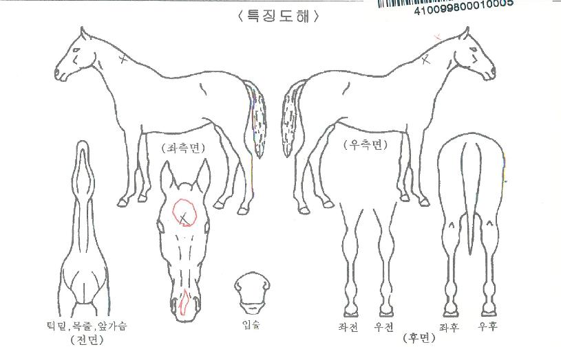 ���;ִ��� ����,���,�޸�,�λ�,�ٸ��� Ư¡����