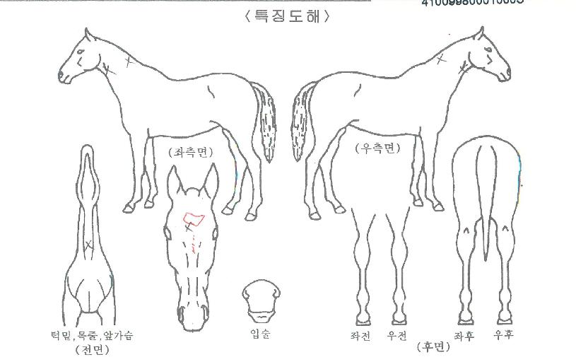 ���ù��� ����,���,�޸�,�λ�,�ٸ��� Ư¡����