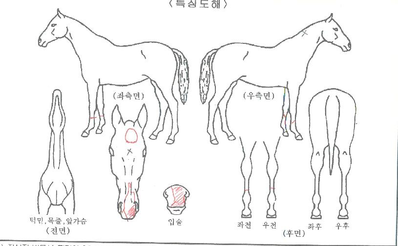 �۷ι������ ����,���,�޸�,�λ�,�ٸ��� Ư¡����