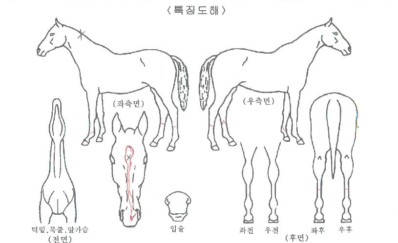 �������� ����,���,�޸�,�λ�,�ٸ��� Ư¡����