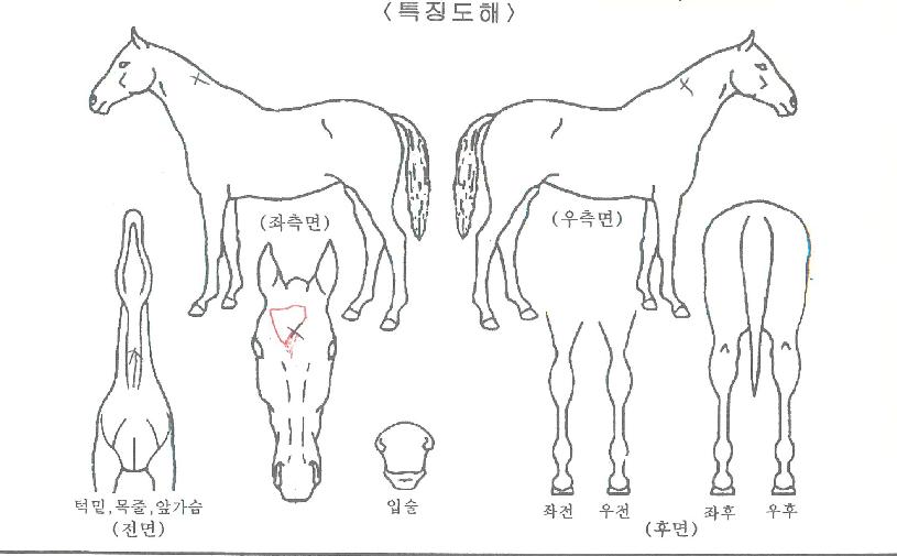 ���������� ����,���,�޸�,�λ�,�ٸ��� Ư¡����