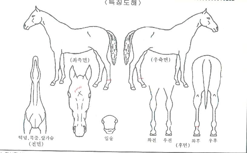 ���̺񺸽��� ����,���,�޸�,�λ�,�ٸ��� Ư¡����