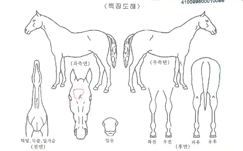 ���õ���� ����,���,�޸�,�λ�,�ٸ��� Ư¡����